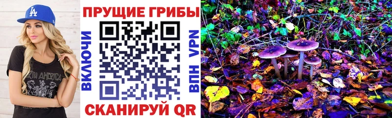 Псилоцибиновые грибы GOLDEN TEACHER  Зима 