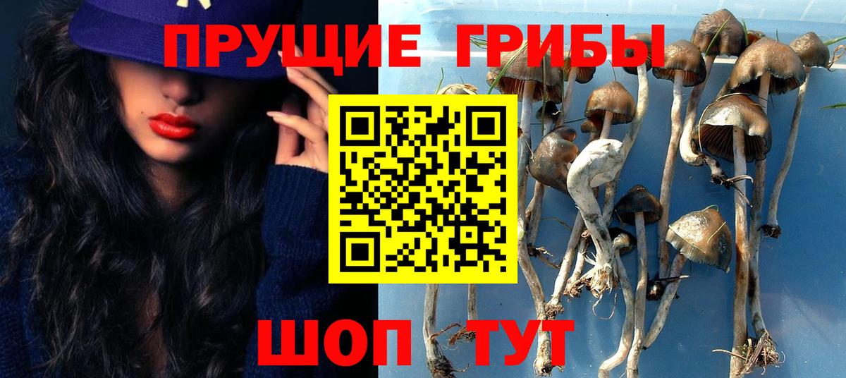 Псилоцибиновые грибы Magic Shrooms Зима