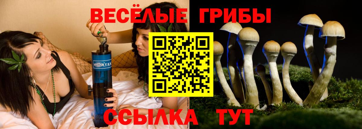 Псилоцибиновые грибы Psilocybe Зима
